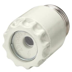 Siemens Schroefkop D-zekering 5SH113 5SH113 11156