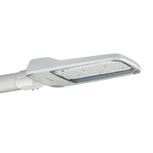 Philips - Straat- en pleinverlichtingsarmatuur - 8718696998212 8718696998212 11341261