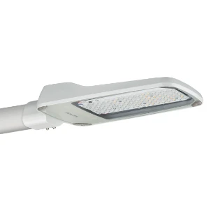 Philips - Straat- en pleinverlichtingsarmatuur - 8718696998212 8718696998212 11342519