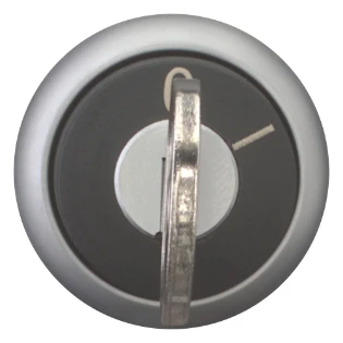 Eaton - Keuzeschakelaar frontelement - M22-WRS-MS2 111778 11456958