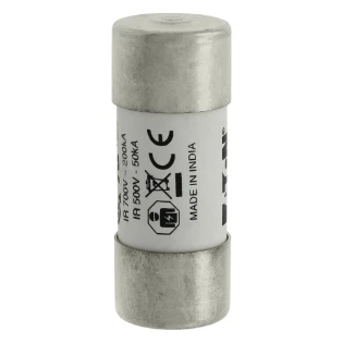 Eaton - Cilindrische zekering - 100A 600V 22X58 INDICATED 22 X 58MM FWP-100A22FI 11459968