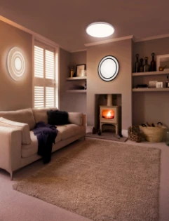 Ledvance - Plafond-/wandarmatuur - Planon Frameless 1200x100mm 35W 300 4058075470699 11699704
