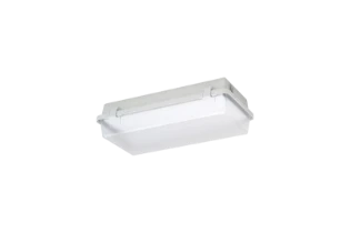 Adolf Schuch - Plafond-/wandarmatuur - 164KL L08G2 164070032 11952873