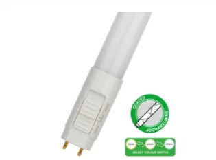 Bailey - LED-lamp - 146308 146308 14245608