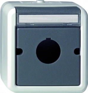 Gira - Overgangsafdekplaat schakelmateriaal - Geh.BSF Taster D22,5mm WG AP GR 027230 146803