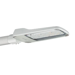 Philips - Straat- en pleinverlichtingsarmatuur - 8718696998212 8718696998212 166180