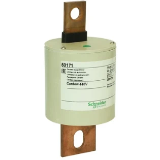 Schneider Electric - Netoverspanningsbeveiliging - 50171 50171 17519296