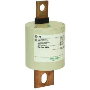 Schneider Electric - Netoverspanningsbeveiliging - 50171 50171 17519474