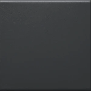 Hager - Bedieningselement /centraalplaat schakelmateriaal - GW1B9011 GW1B9011 2178261