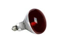 Sylvania IR-lamp IR R125 250W 0033011 2187964