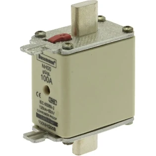 Eaton - Smeltpatroon (mes) - FUSE NH 00 gG 100A 500V D.I. 100NHG00B 2228013
