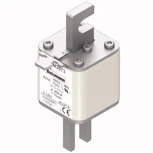 Eaton - HRC zekering - FUSE 630A 690V 1*TN/80 AR UC 170M3073 2233298