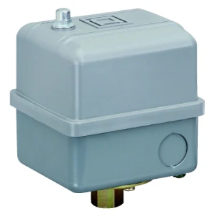 Telemecanique Sensors - Drukschakelaar - 9013GSG2J20 9013GSG2J20 2297678