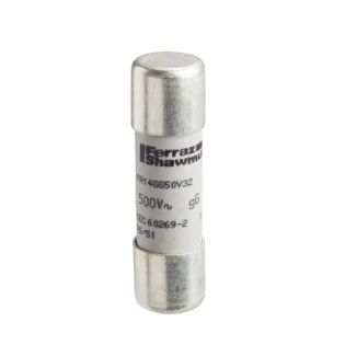 Schneider Electric - Cilindrische zekering - DF2EN40 DF2EN40 2311069