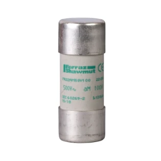 Schneider Electric - Cilindrische zekering - DF2FA125 DF2FA125 2311085