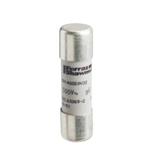 Schneider Electric - Cilindrische zekering - DF2EN40 DF2EN40 2311173