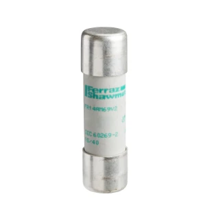 Schneider Electric - Cilindrische zekering - DF2EA16 DF2EA16 2349277