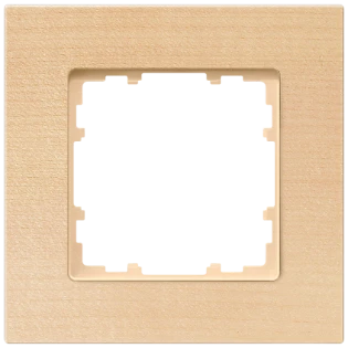 Siemens - Afdekraam schakelmateriaal - 5TG1101-4 5TG11014 378242