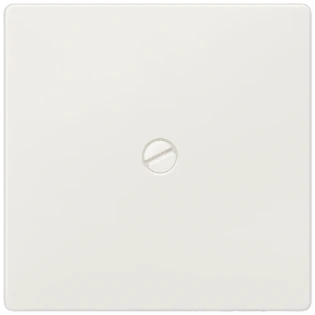 Siemens - Bedieningselement /centraalplaat schakelmateriaal - 5TG6261 5TG6261 378934