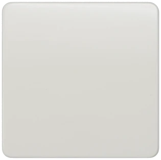 Siemens - Bedieningselement /centraalplaat schakelmateriaal - 5TG7801 5TG7801 379034