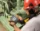 Fluke - Trillingsmeter - 3542635 3542635 459926