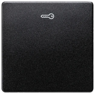 Siemens - Bedieningselement /centraalplaat schakelmateriaal - 5TG6228 5TG6228 520950