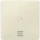 Siemens - Bedieningselement /centraalplaat schakelmateriaal - 5TG6290 5TG6290 521233