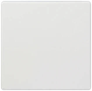 Siemens - Bedieningselement /centraalplaat schakelmateriaal - 5TG7141 5TG7141 521258