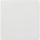 Siemens - Bedieningselement /centraalplaat schakelmateriaal - 5TG7141 5TG7141 521258