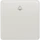 Siemens - Bedieningselement /centraalplaat schakelmateriaal - 5TG7807 5TG7807 521506