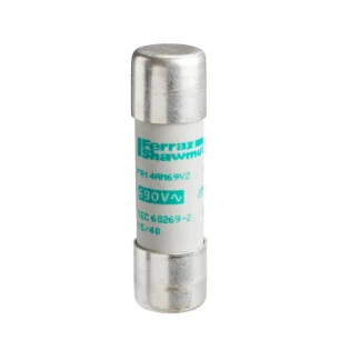 Schneider Electric - Cilindrische zekering - DF2EA16 DF2EA16 533398