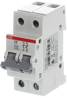 ABB - Inbouwschakelaar modulair - E 202/100G 2CDE282001R1100 7068388