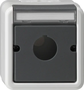 Gira - Overgangsafdekplaat schakelmateriaal - Geh.BSF Taster D22,5mm WG AP GR 027230 7092483