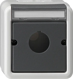 Gira - Overgangsafdekplaat schakelmateriaal - Geh.BSF Taster D22,5mm WG AP GR 027230 7095547