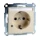 Schneider Electric Merten - Wandcontactdoos - MTN2303-0344 MTN2303-0344 84727